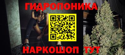 скорость Шелехов