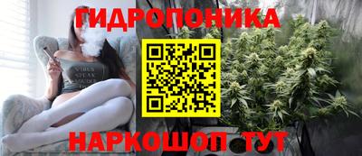 спиды Шахты
