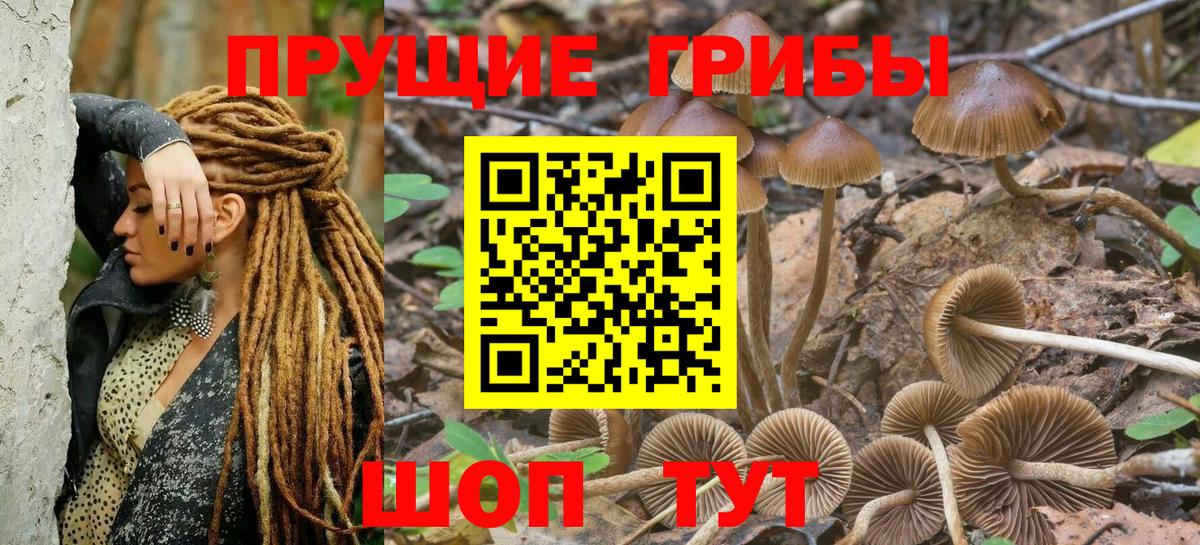 где можно купить   Вход с VPN  Верхний Уфалей  Галлюциногенные грибы мухоморы  Галлюциногенные грибы Psilocybine cubensis 